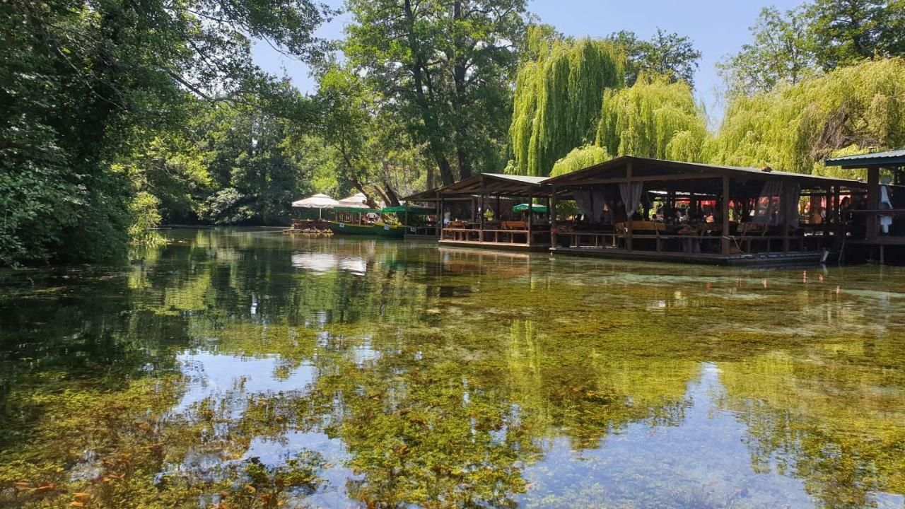 Villa Dudanov Ochrid Exteriér fotografie